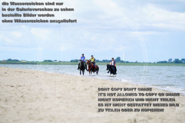 s_K3F05072.JPG